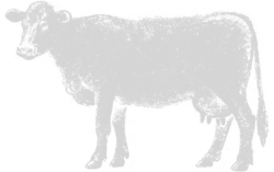 Variety Meats